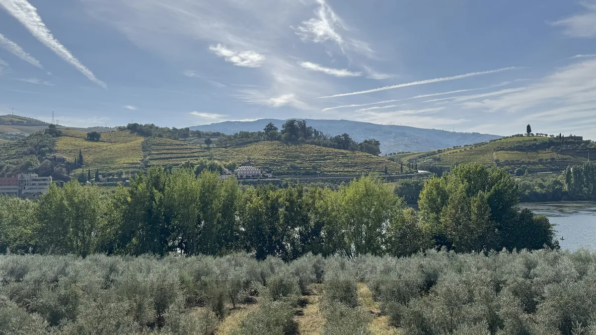 Socalcos de vinha ao longo do rio Douro